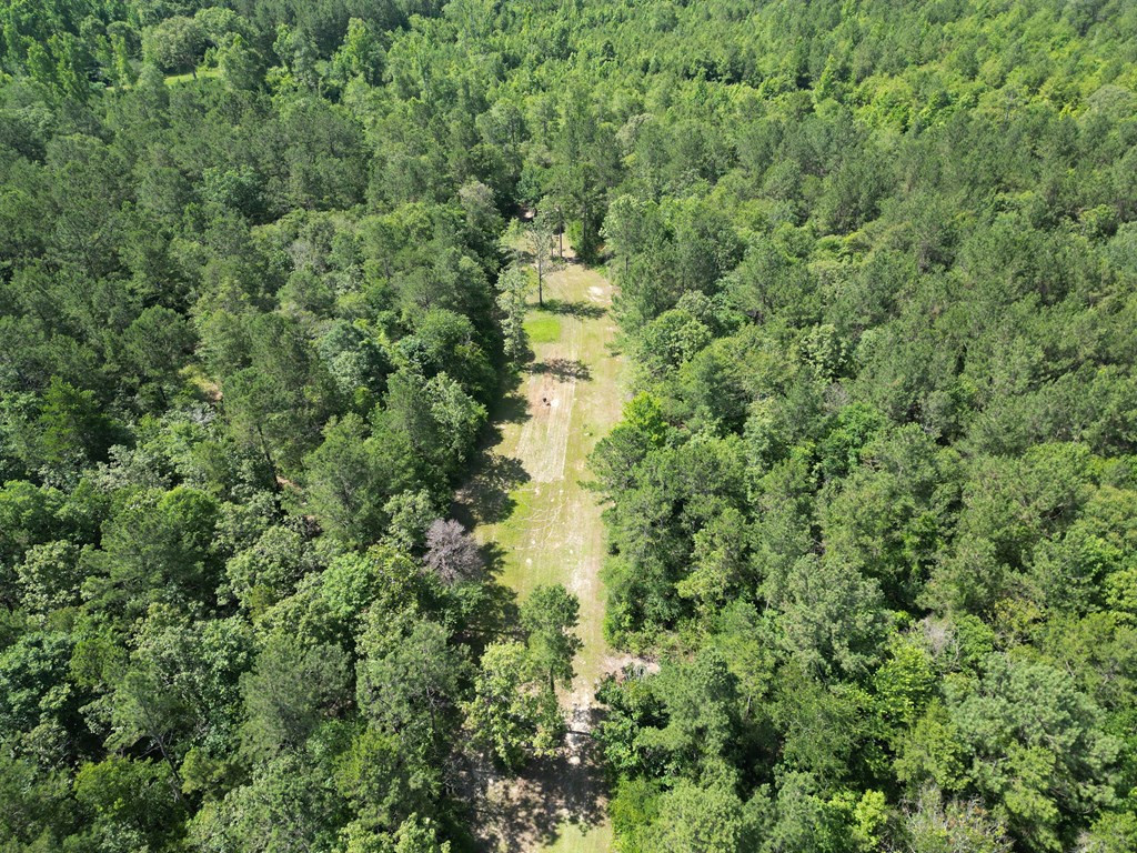 985 Harold Alford Road Osyka, MS 39657 - Photo 2 of 50 Photo 2