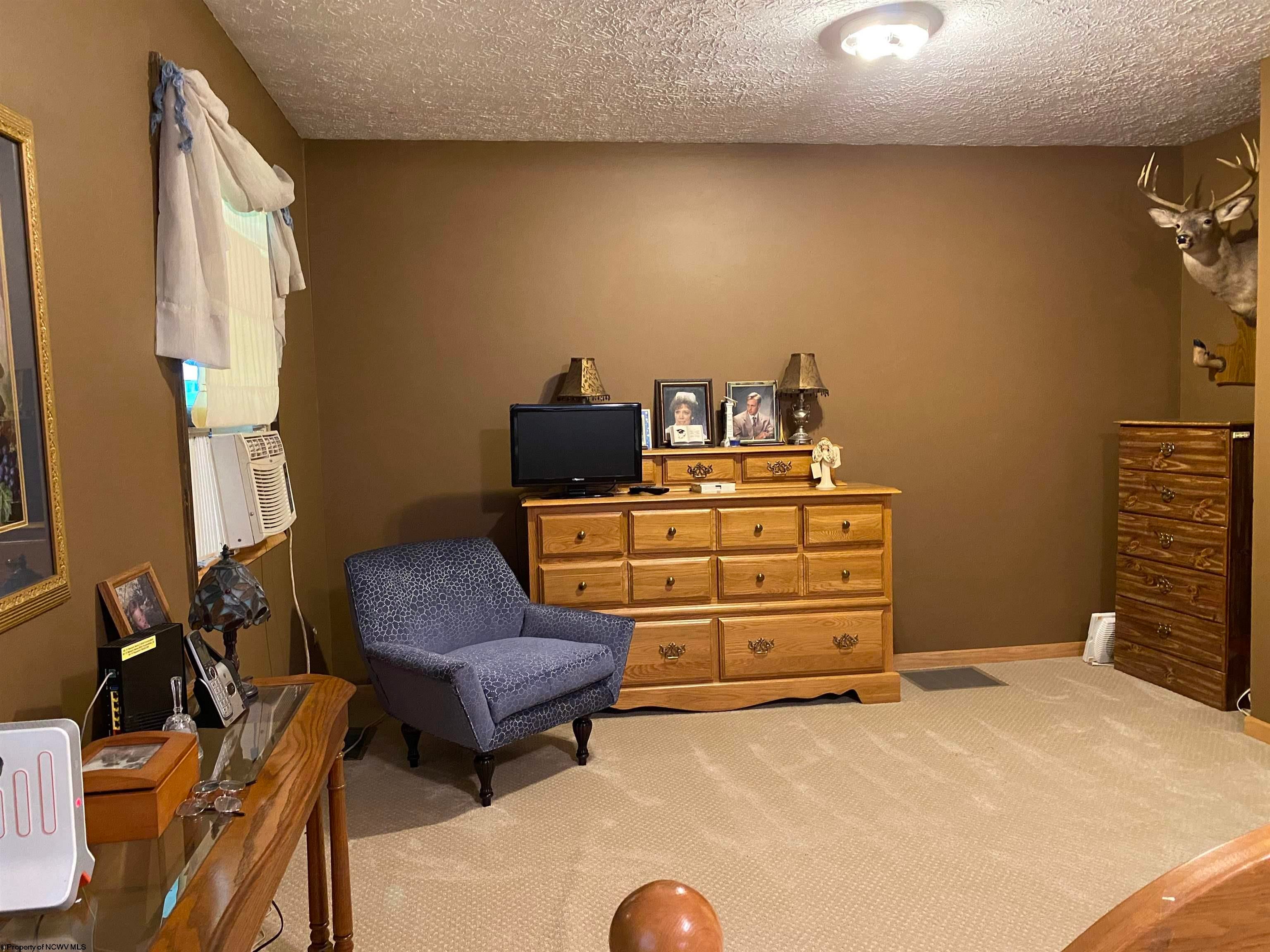 2230 Lanesville Road Dryfork, WV 26263 - Photo 22 of 28 Gallery Image 22