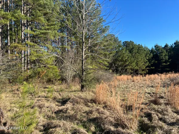 $80,900 | 45 Springhill Church Road, Shubuta, MS 39360