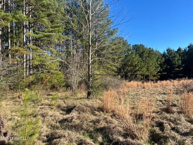 $97,500 | 45 Springhill Church Road, Shubuta, MS 39360