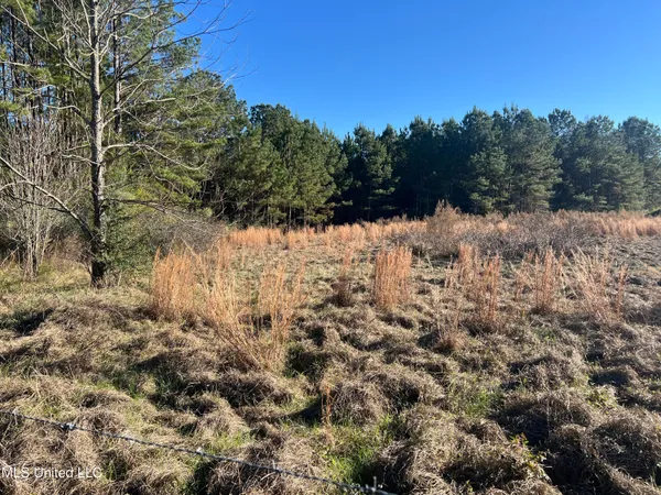 $80,900 | 45 Springhill Church Road, Shubuta, MS 39360