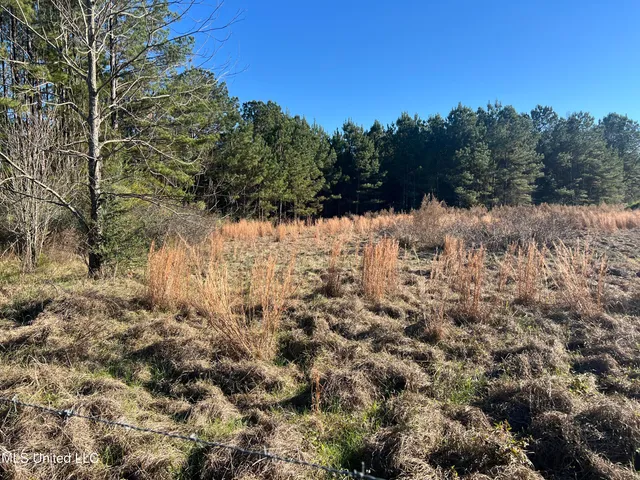 $97,500 | 45 Springhill Church Road, Shubuta, MS 39360