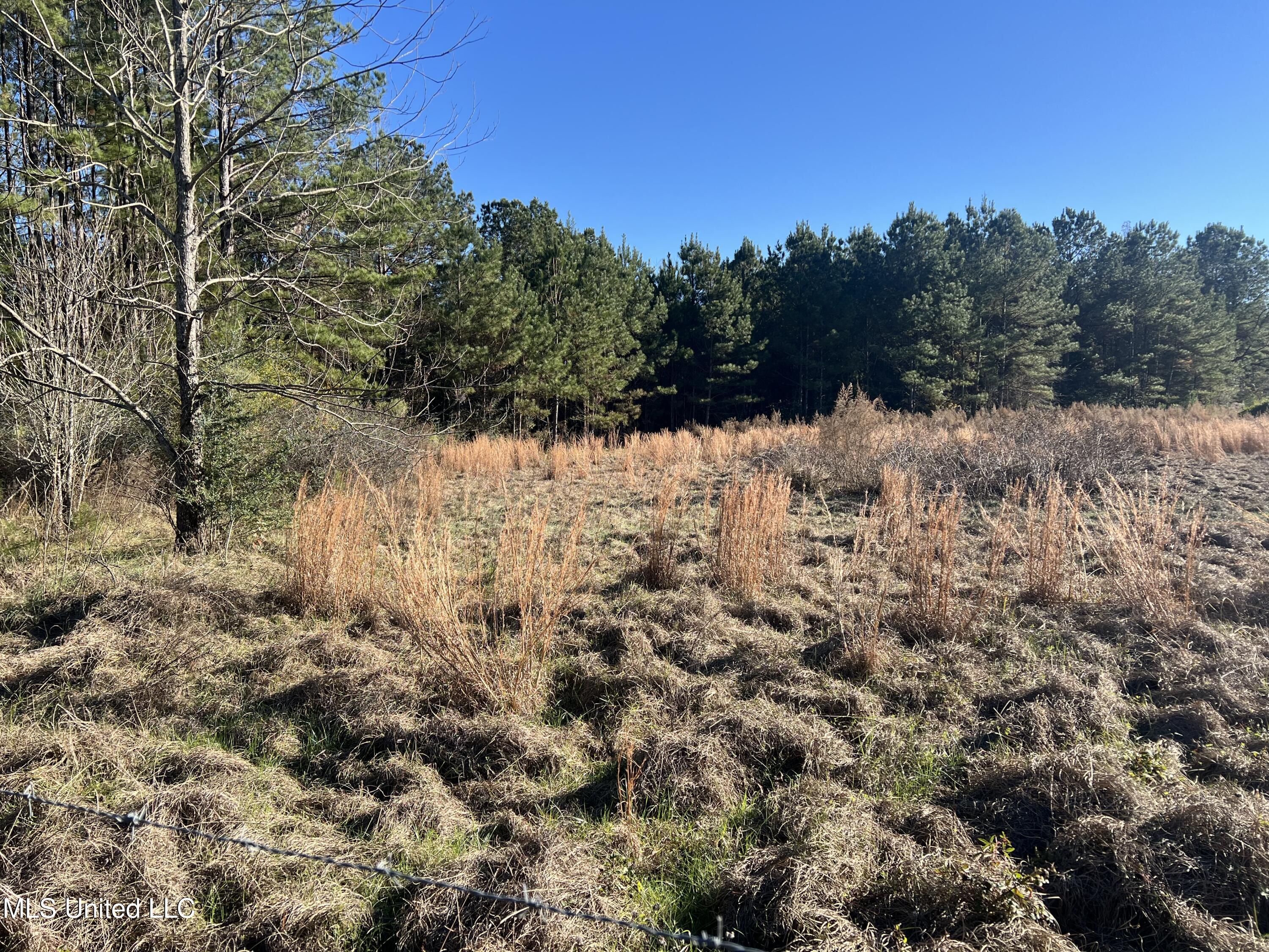 45 Springhill Church Road Shubuta, MS 39360 - Photo 13 of 25 Photo Dec 15 2025, 2 45 45 PM