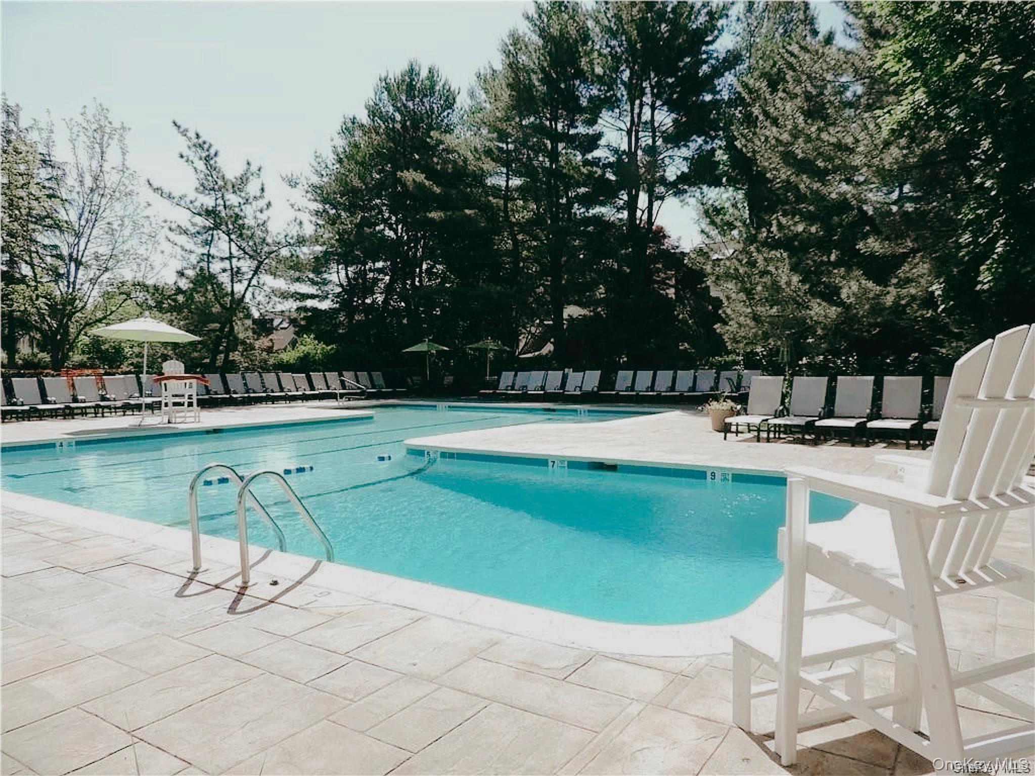 10 Bayberry Lane Rye Brook, NY 10573 - Photo 36 of 44 Inground Pool