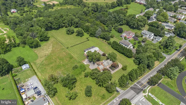 a view of a garden with plants