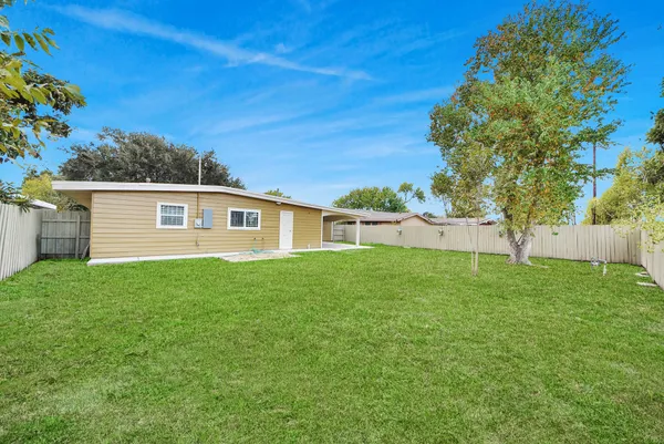 a view of garden with tall trees