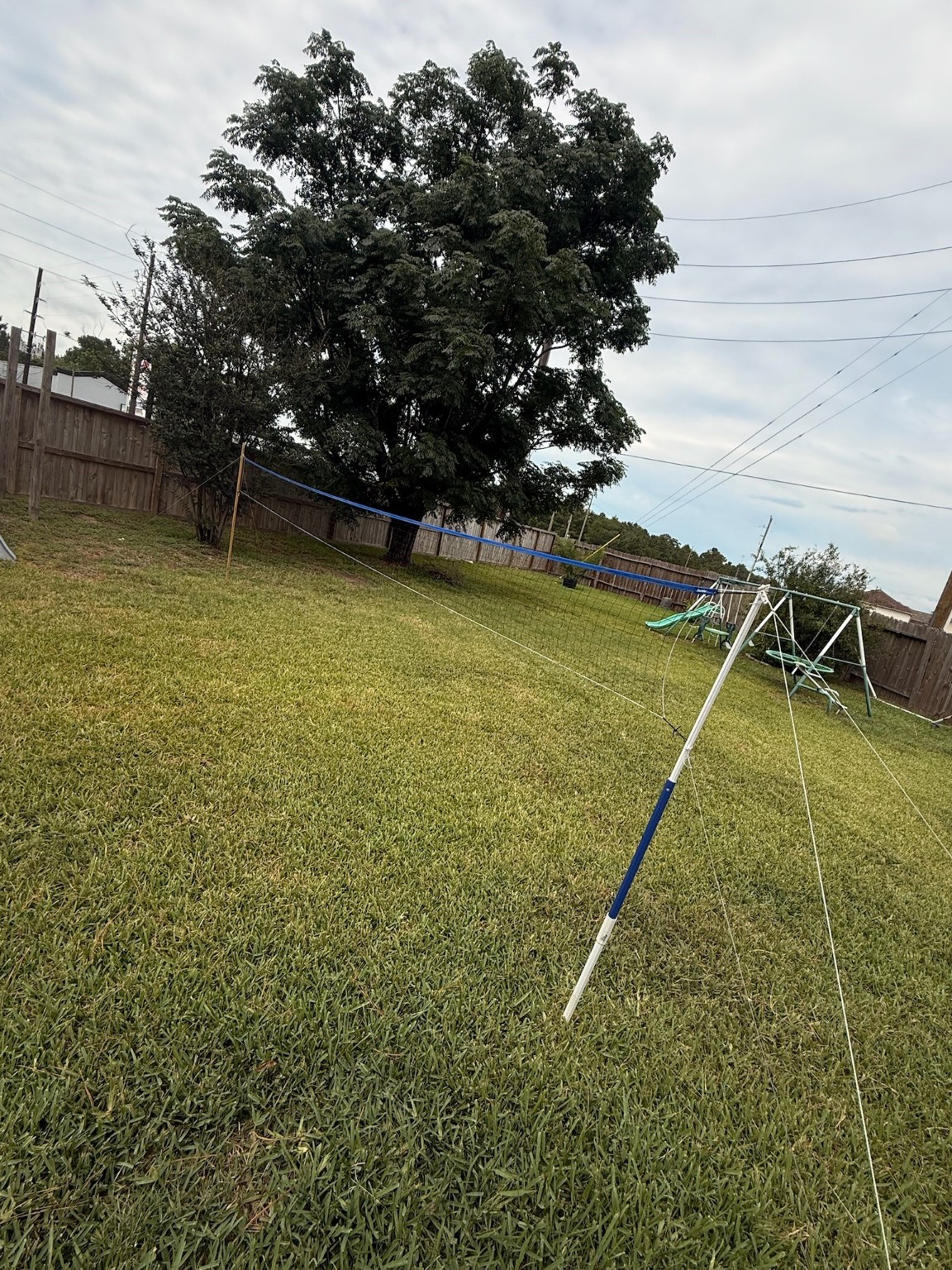 1247 Lavender Shade Court Houston, TX 77073 - Photo 38 of 49
