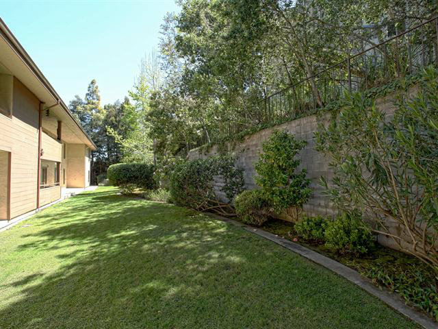 1115 Continentals Way, Unit 203 Belmont, CA 94002 - Photo 15 of 16 a view of a backyard with plants and large trees