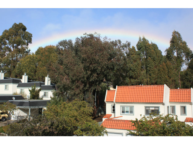 1115 Continentals Way, Unit 203 Belmont, CA 94002 - Photo 6 of 16 a backyard of a house with table and chairs