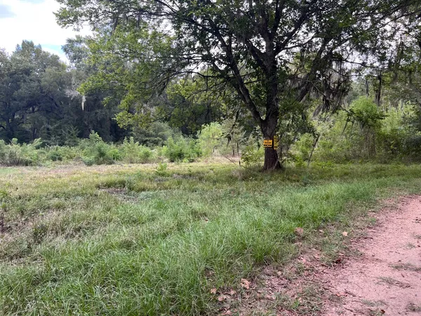 $12,500 | 0 North Francies, Shepherd, TX 77371