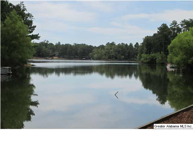 204 Stetson Lane Alabaster, AL 35007 - Photo 24 of 24