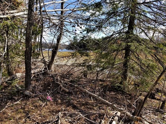 Lot 2 Payment Lake Road Mercer, WI 54547 - Photo 23 of 26 Gallery Image 23