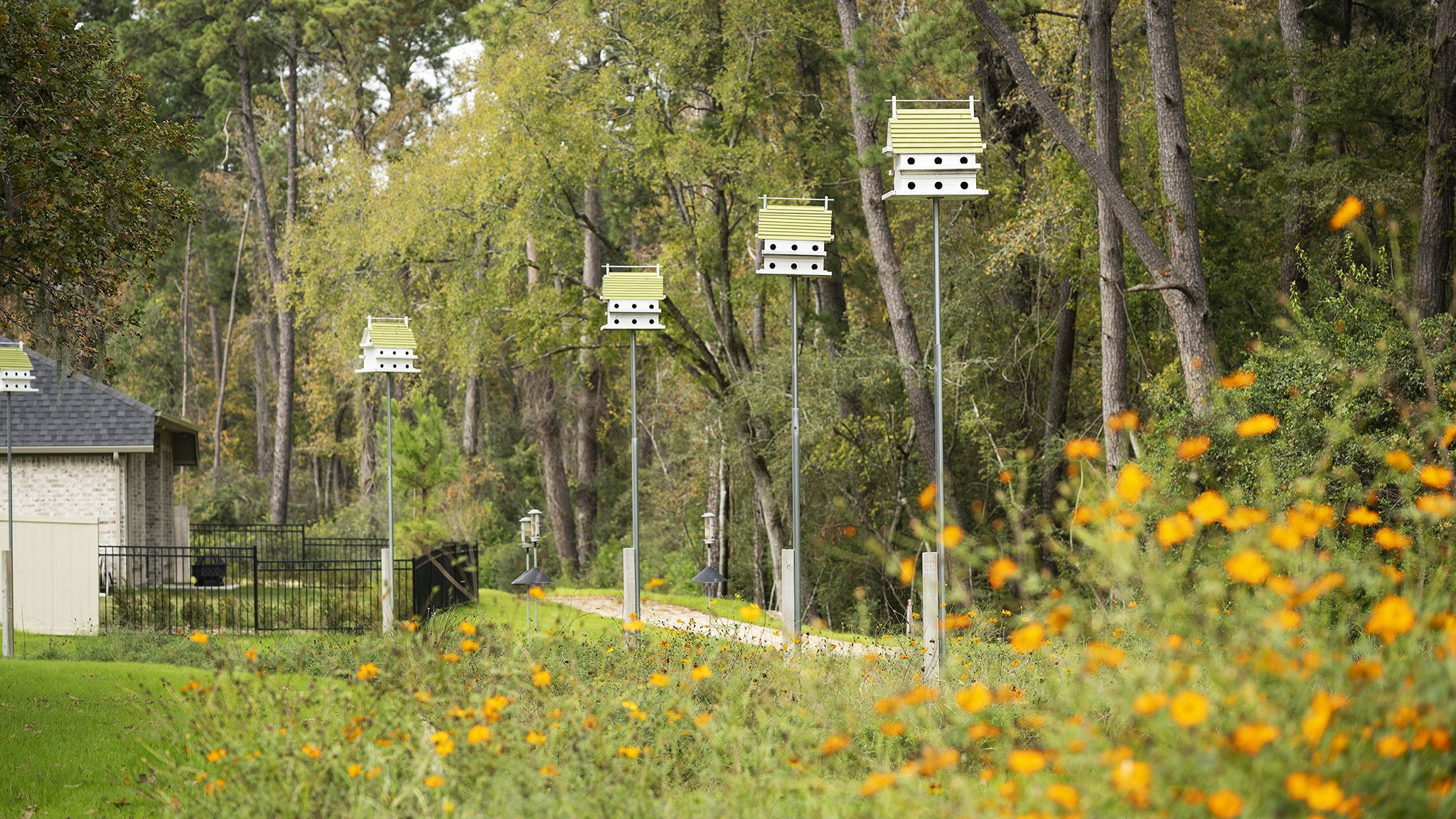 39111 Dangling Crest Magnolia, TX 77354 - Photo 4 of 9 a view of residential house with outdoor space and trees