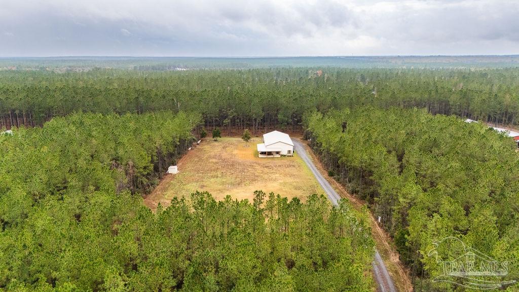 3325 Steele Meadow Drive Pace, FL 32571 - Photo 2 of 68