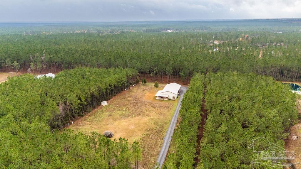 3325 Steele Meadow Drive Pace, FL 32571 - Photo 45 of 68