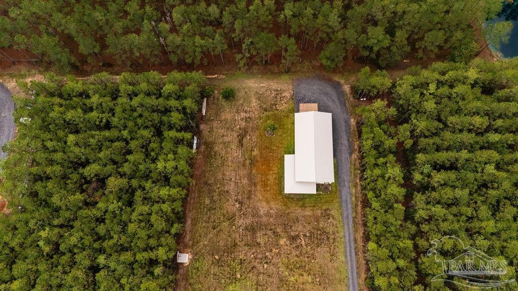 3325 Steele Meadow Drive Pace, FL 32571 - Photo 46 of 68