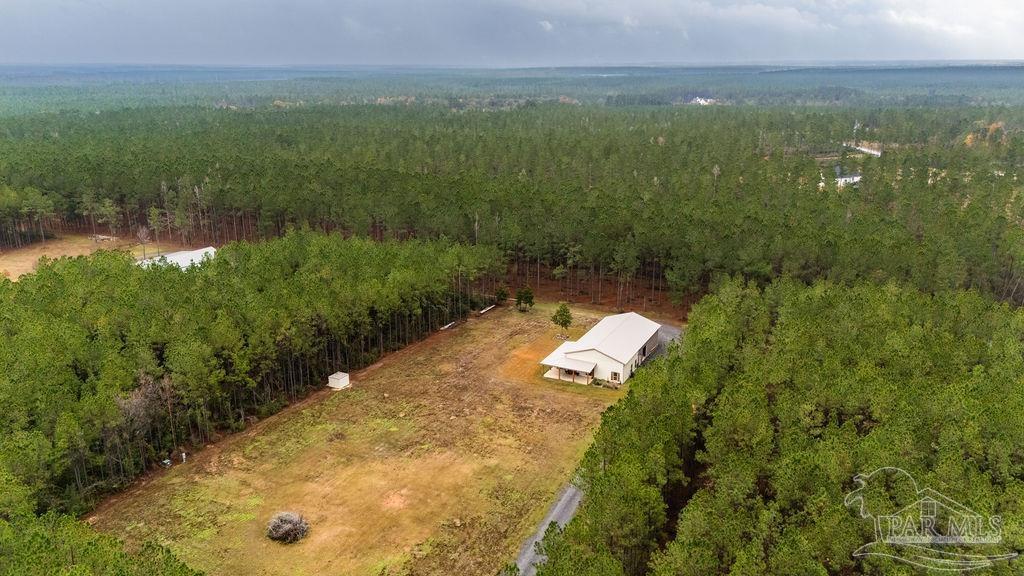 3325 Steele Meadow Drive Pace, FL 32571 - Photo 51 of 68