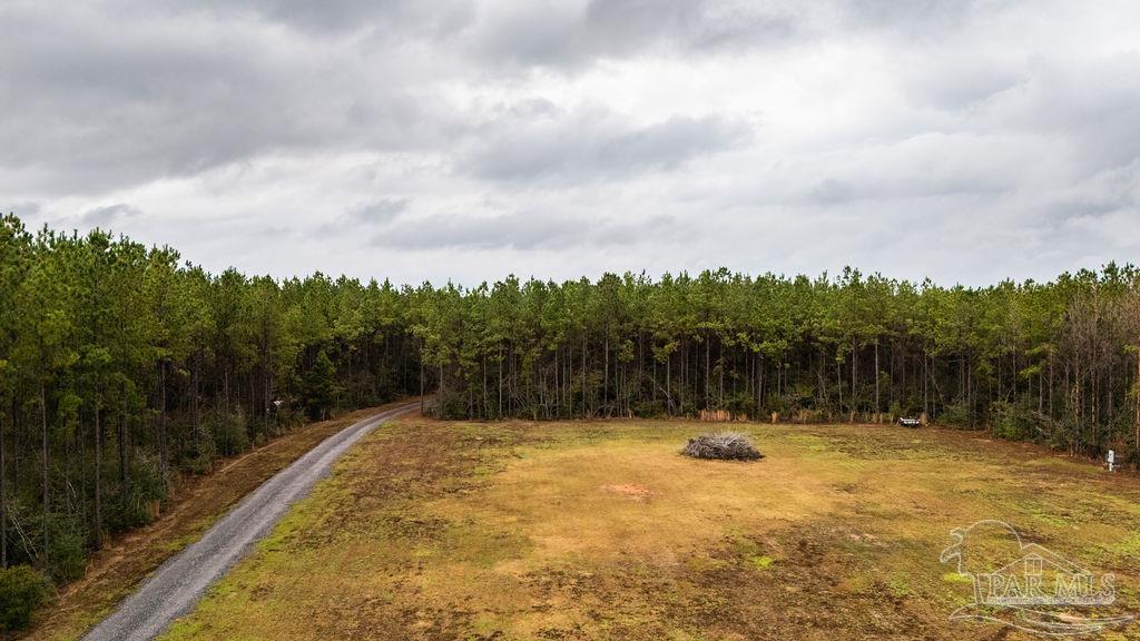 3325 Steele Meadow Drive Pace, FL 32571 - Photo 52 of 68