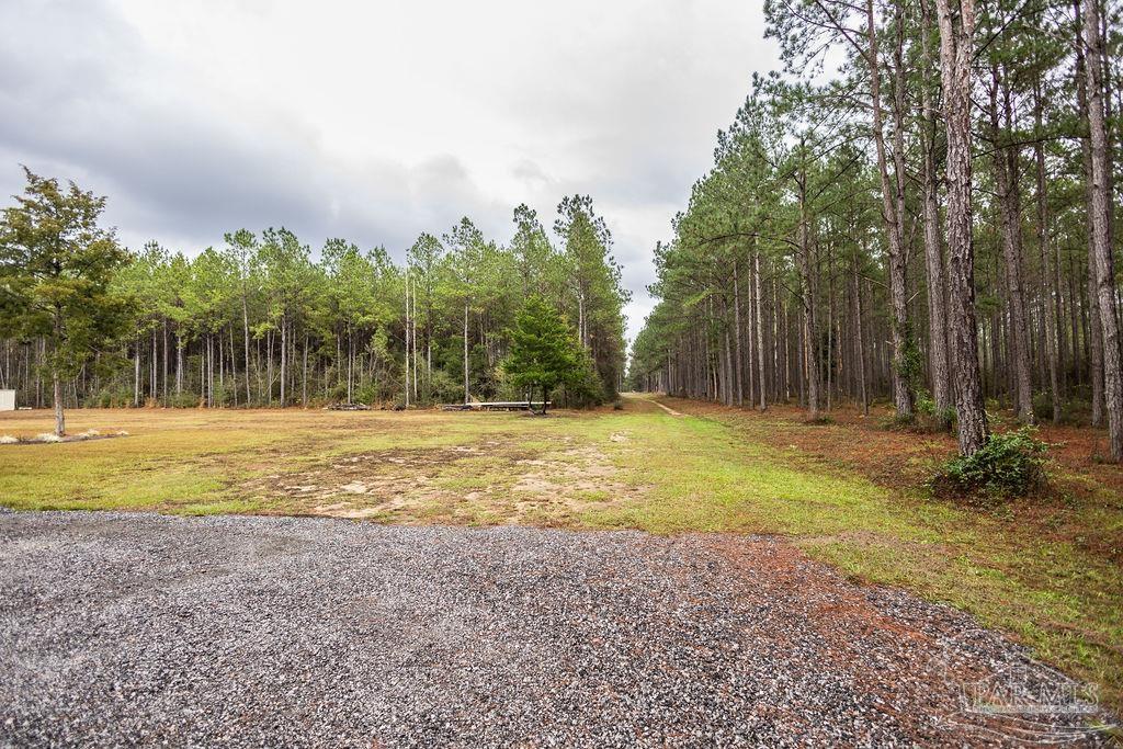 3325 Steele Meadow Drive Pace, FL 32571 - Photo 63 of 68