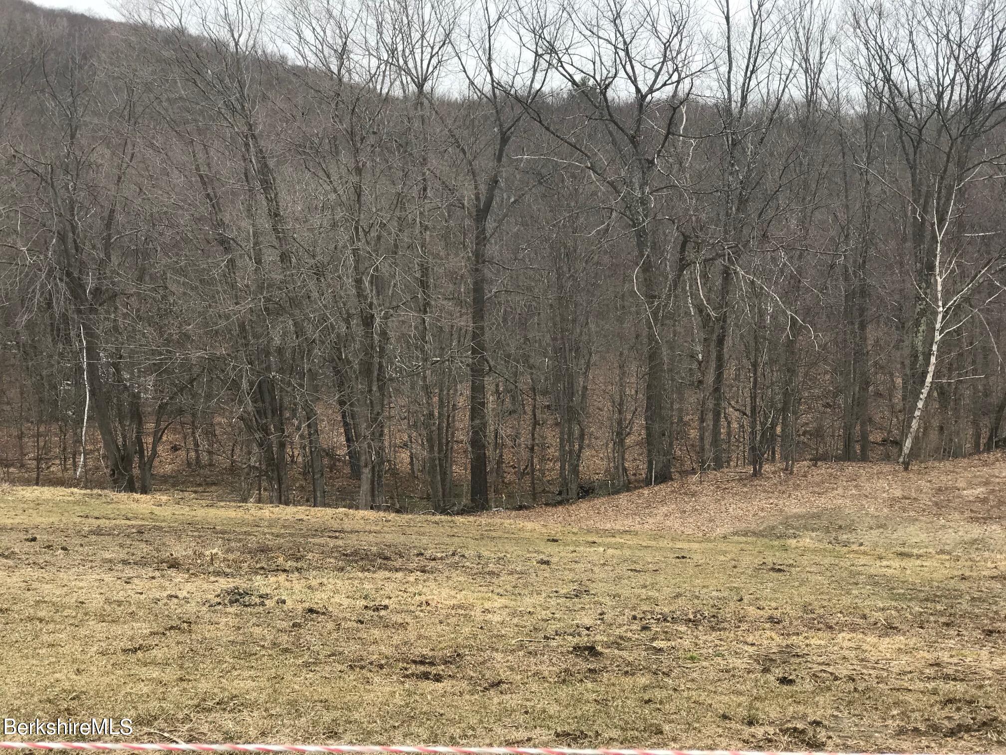 Lot 0 Bailey Road Lanesborough, MA 01237 - Photo 1 of 12 Bailey Rd Lanesboro Ma