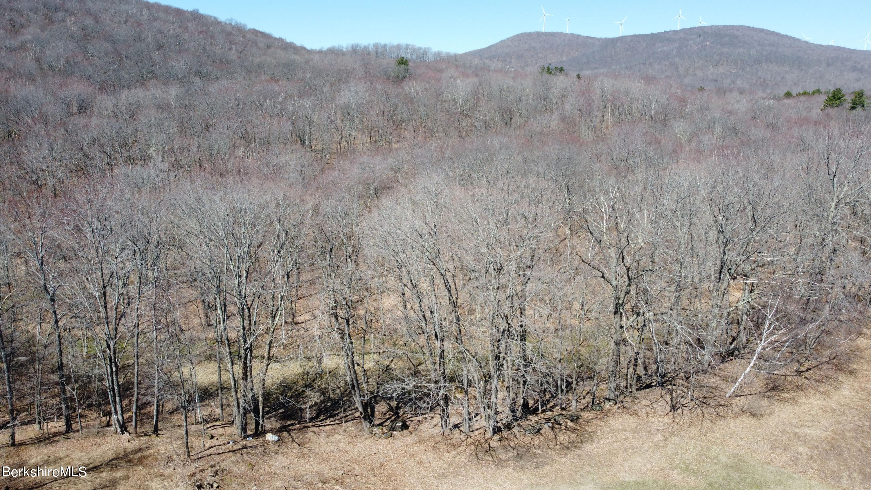 Lot 0 Bailey Road Lanesborough, MA 01237 - Photo 6 of 12 Drone Shot of Tree Area