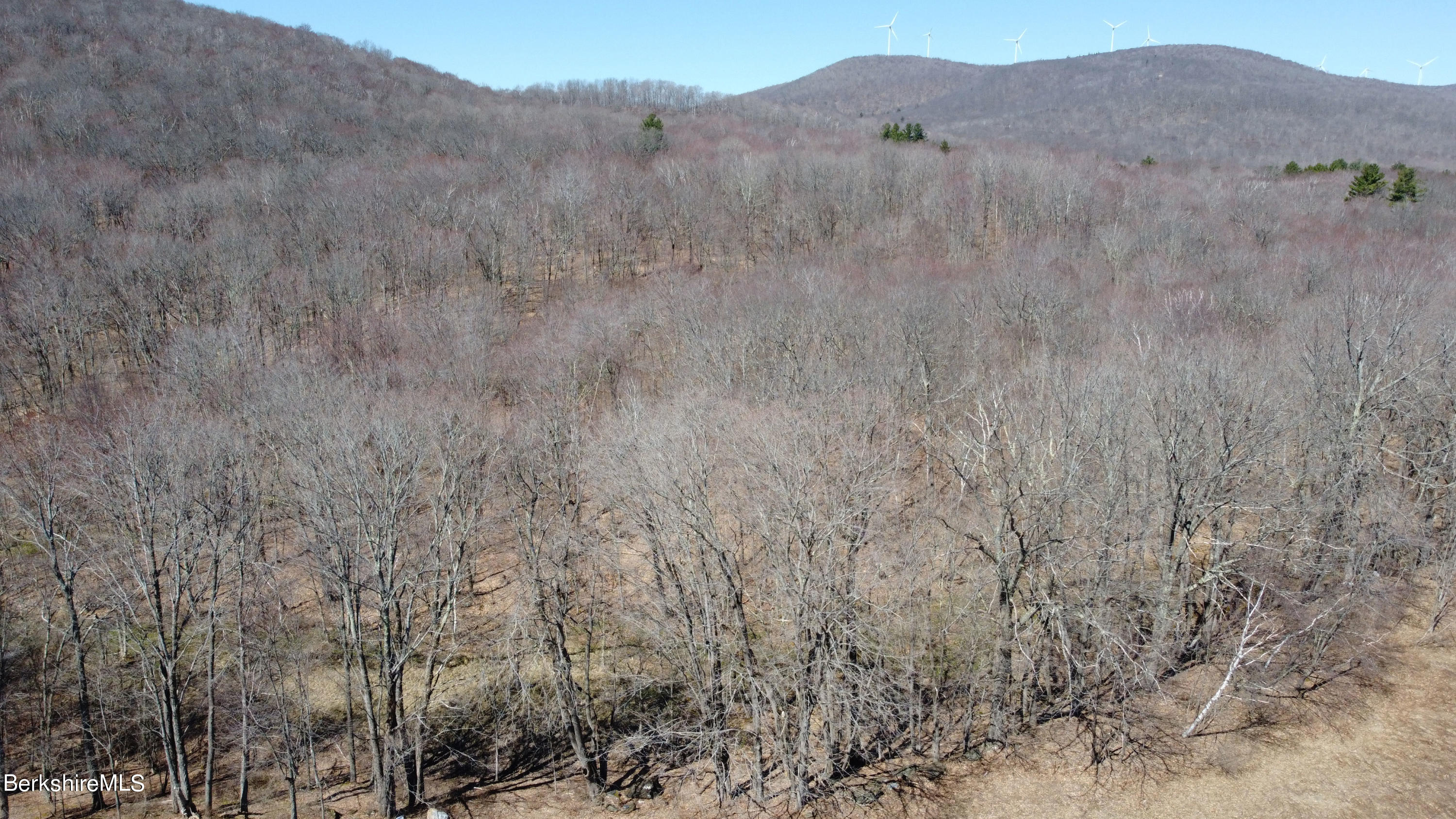 Lot 0 Bailey Road Lanesborough, MA 01237 - Photo 7 of 12 Drone Shot, Views and Trees