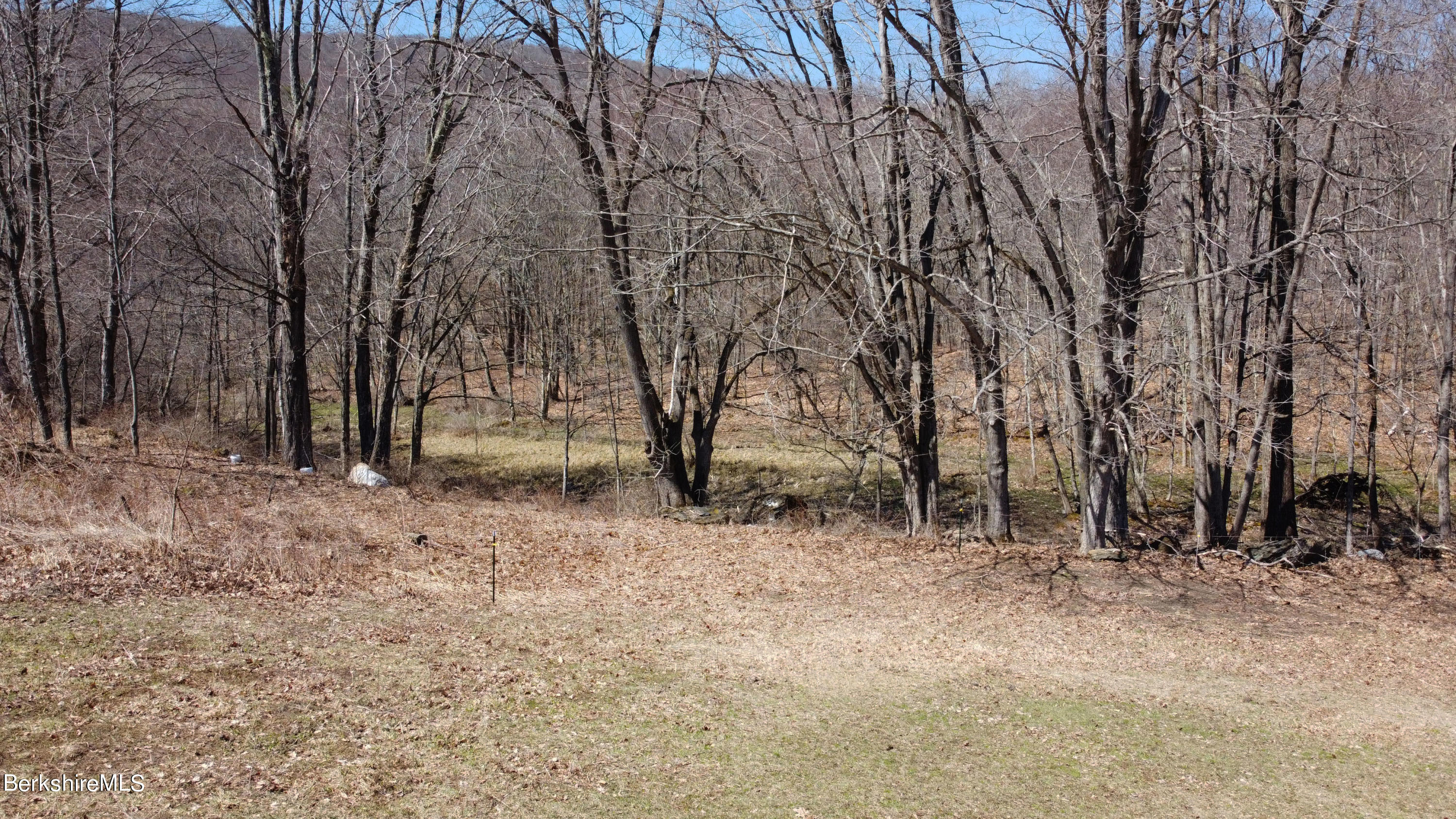Lot 0 Bailey Road Lanesborough, MA 01237 - Photo 9 of 12 Drone Shot Tree Line