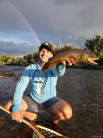 a close up of a tree in a yard