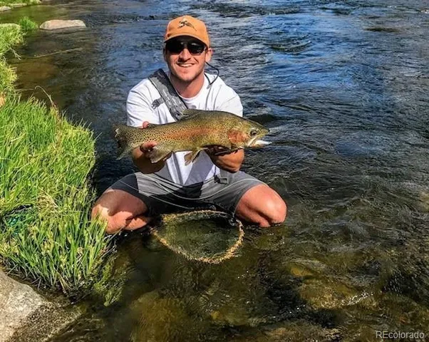 a view of a yard with trees in the background