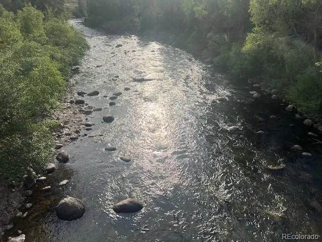 a view of a dry yard