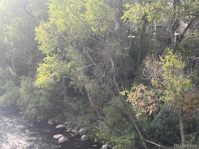6 Tbd Highway Edwards, CO 81632 - Photo 20 of 22 a picture of tree