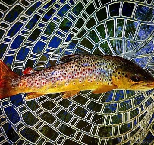 $500,000 | 6 Tbd Highway, Edwards, CO 81632