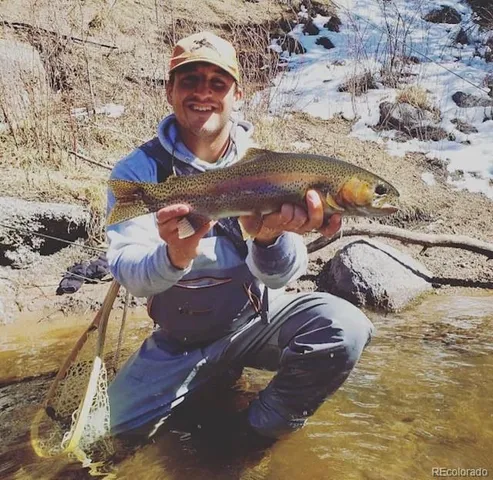 a view of a dry yard with trees