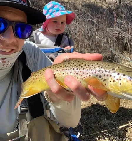 a view of a large yard with lots of green space