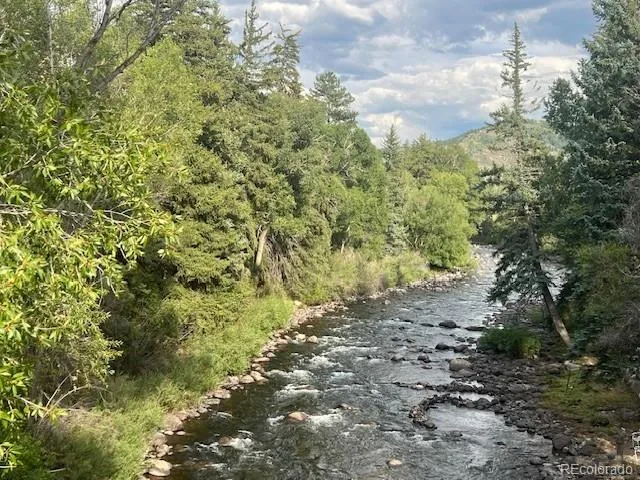 a picture of a tree in a yard