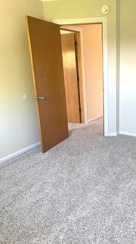 137 East 124th Street Chicago, IL 60628 - Photo 11 of 18