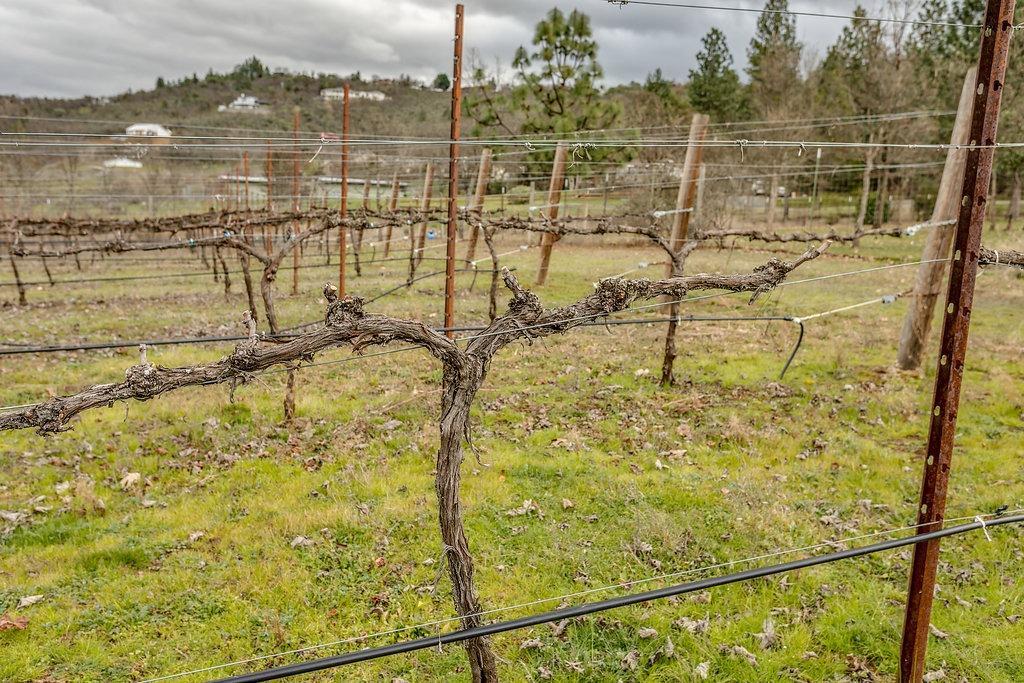 5215 Dark Hollow Road Medford, OR 97501 - Photo 11 of 35 Additional Photo