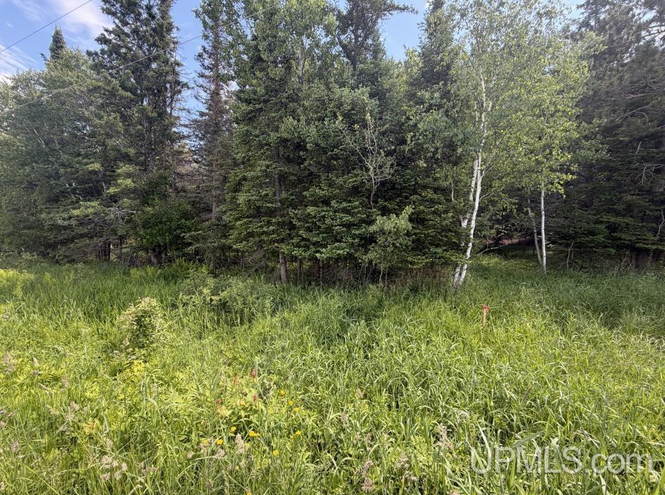 Parcel A Bellaire Road Baraga, MI 49908 - Photo 4 of 7