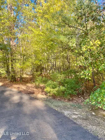 $105,000 | 0 Little Creek Road, Flowood, MS 39232
