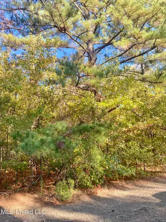 $105,000 | 0 Little Creek Road, Flowood, MS 39232