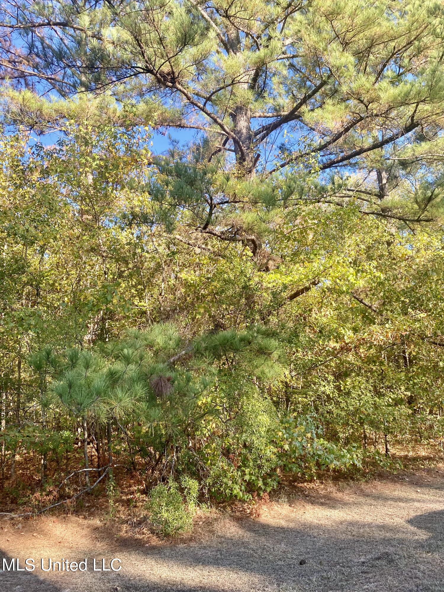 0 Little Creek Road Flowood, MS 39232 - Photo 3 of 3 IMG_0913