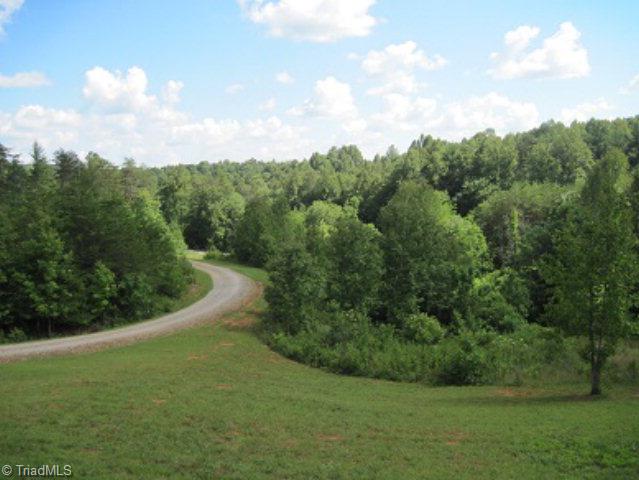 1896 Champion Road Ferguson, NC 28624 - Photo 4 of 28 Front Porch View