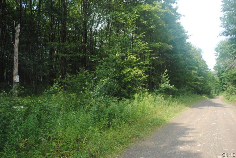 Lot 2 Fox Brook Road Altmar, NY 13302 - Photo 1 of 1 Gallery Image 1