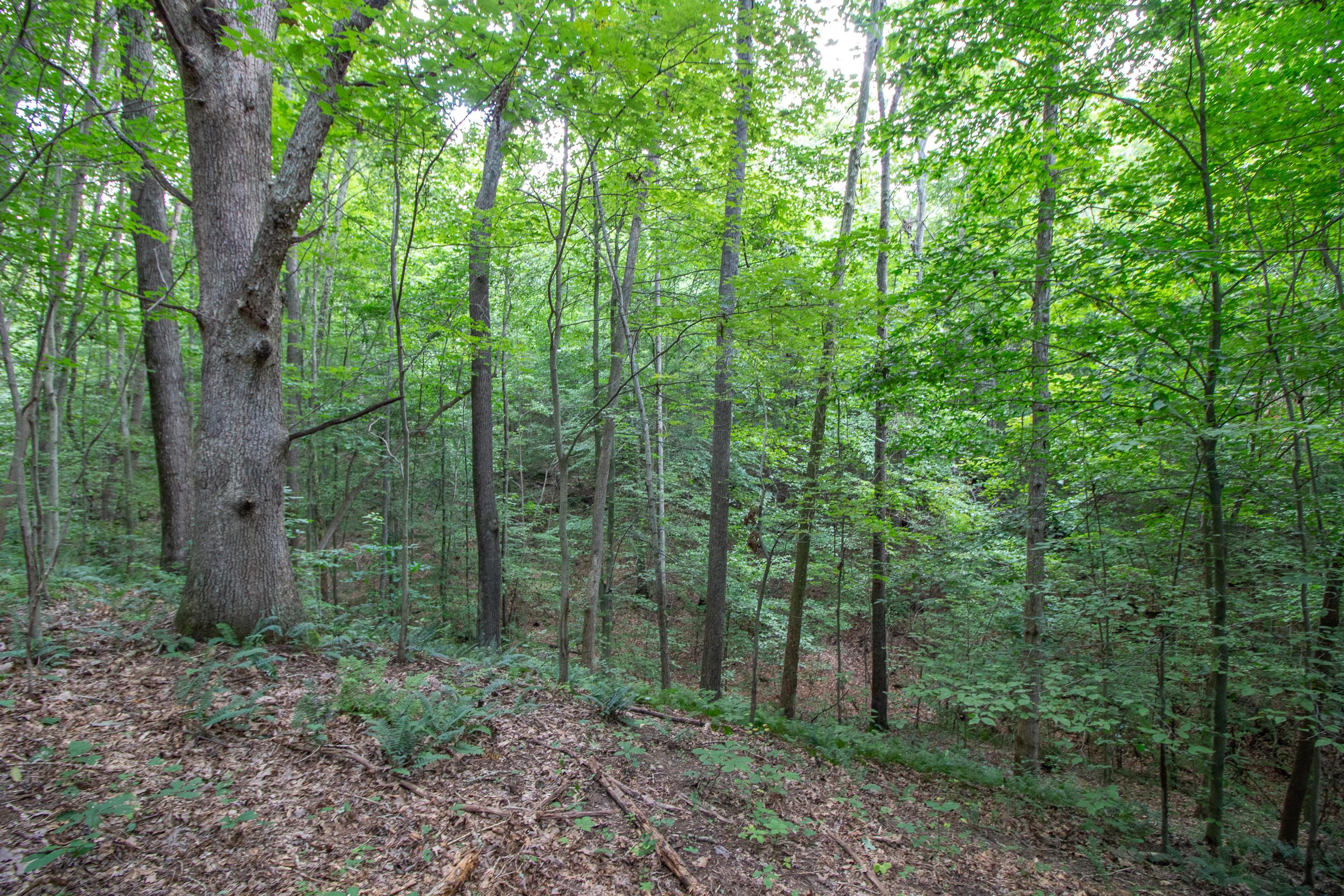 0 Spencer Road Ray, OH 45672 - Photo 19 of 24