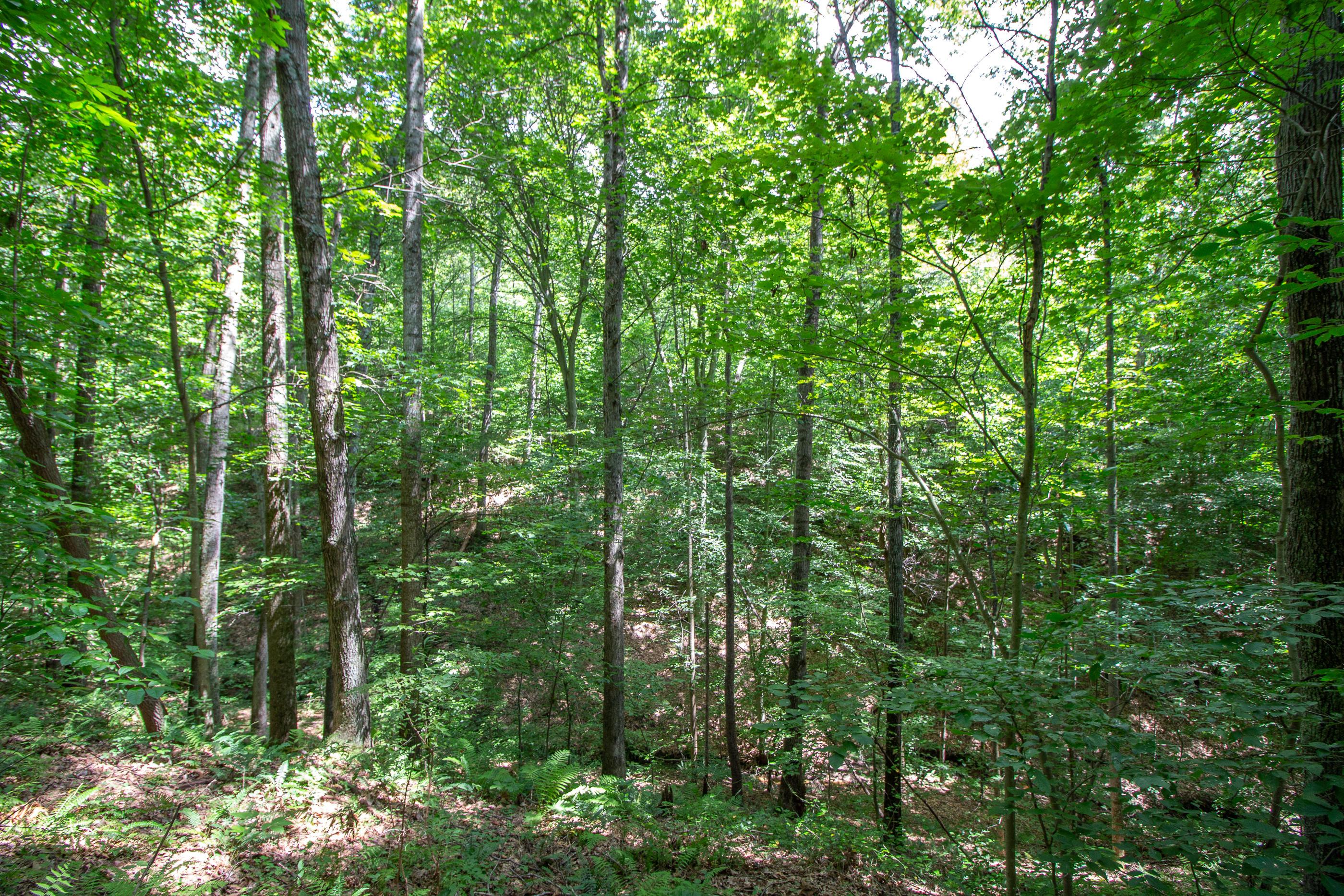 0 Spencer Road Ray, OH 45672 - Photo 20 of 24