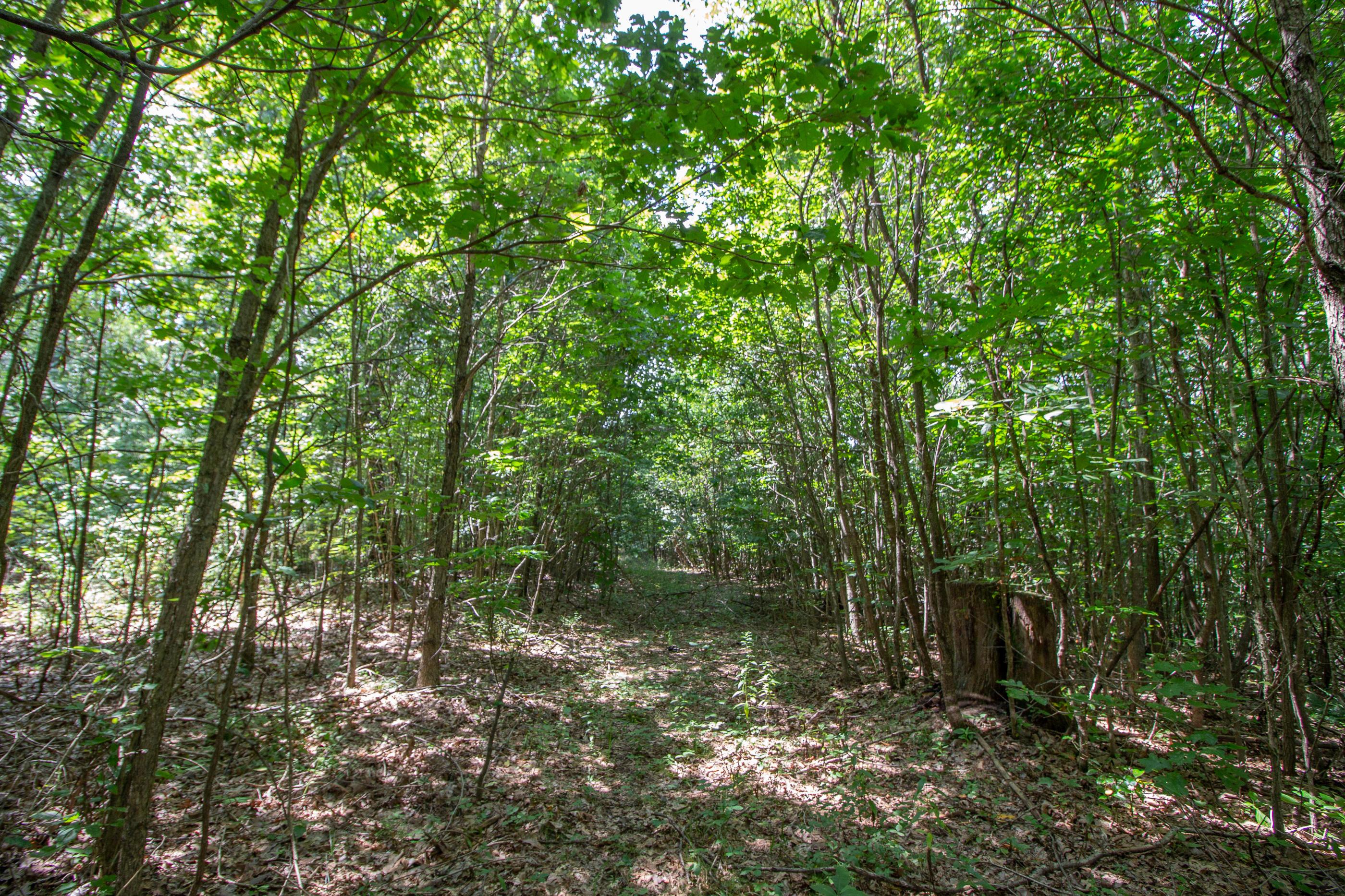 0 Spencer Road Ray, OH 45672 - Photo 5 of 24