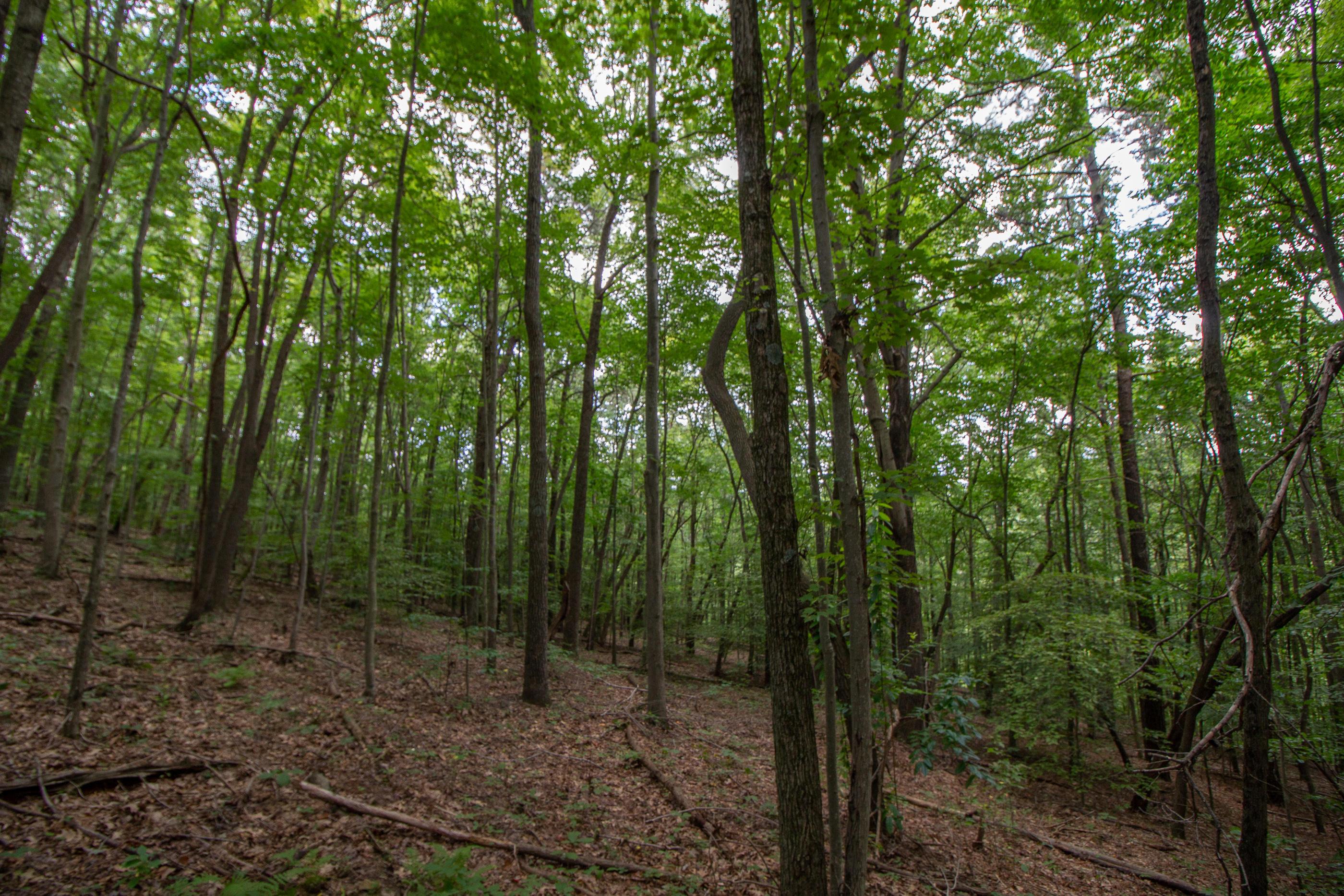 0 Spencer Road Ray, OH 45672 - Photo 9 of 24