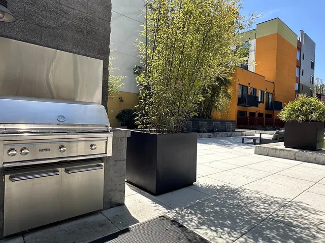 a close up of a tree in a backyard of a house