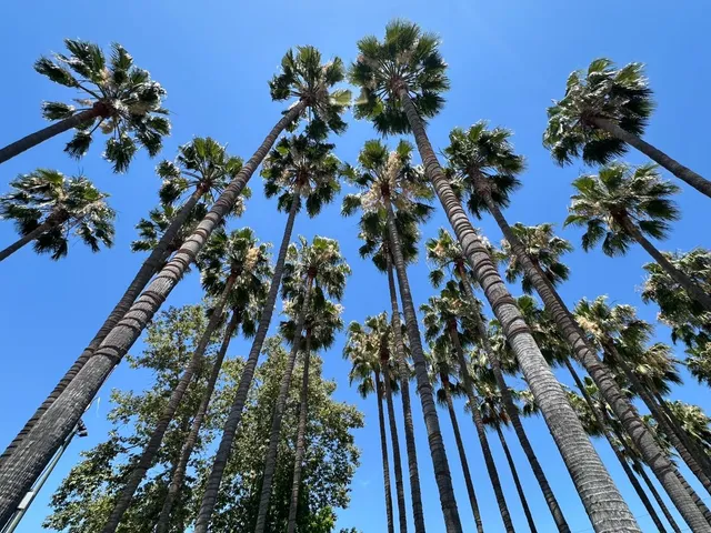 $930,000 | 88 Bush Street, Unit 2171, San Jose, CA 95126