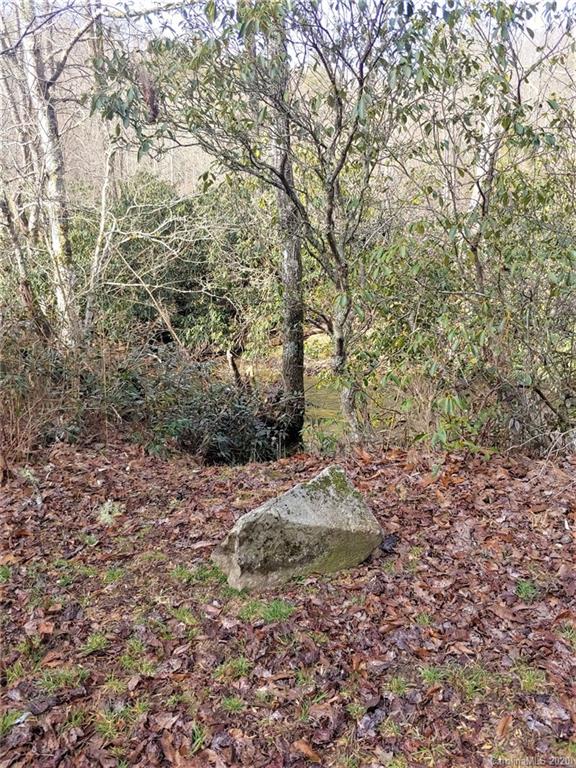 Tbd Silversteen Road Marietta, SC 29661 - Photo 2 of 6 Gallery Image 2